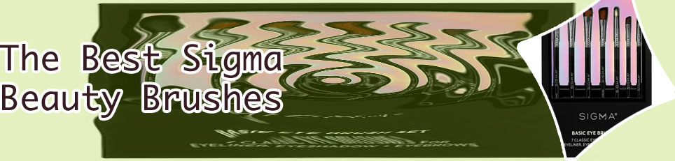Best sigma eyeshadow brushes